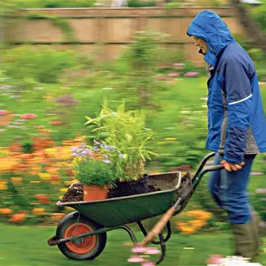 image from: https://www.offthegridnews.com/survival-gardening-2/wet-weather-gardening-tips/