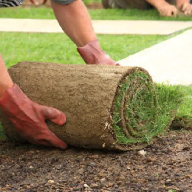 image from: https://www.onlineturf.co.uk/knowledge-base/blog/how-quickly-do-i-need-to-lay-my-new-turf